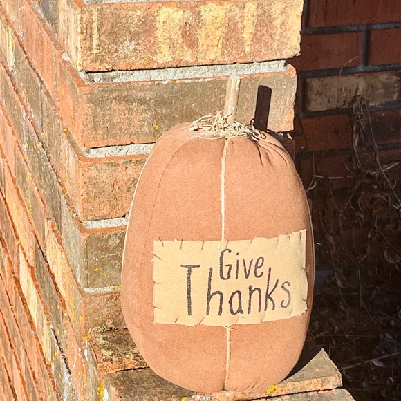 *Give Thanks Pumpkin - Picture 7 of 13